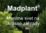 Ing. Edita Madarászová - MADPLANT