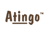Atingo-partners for business progress, s.r.o.