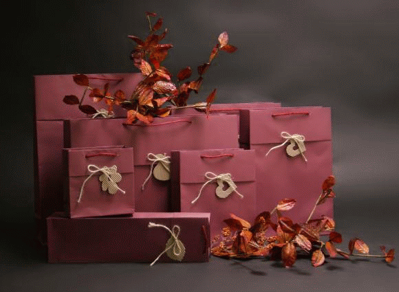 Bordová matná taška s manžetou