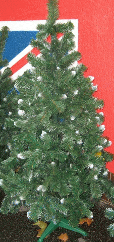 Vianočné stromčeky