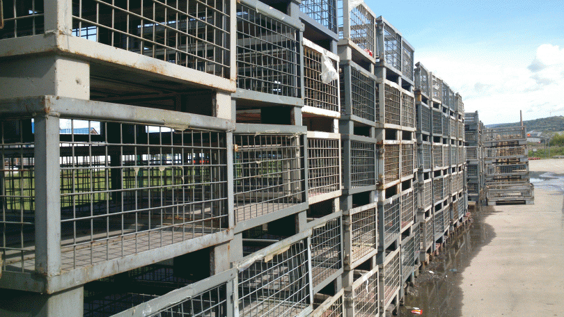 Predám použité Gitterboxy /polovičné/