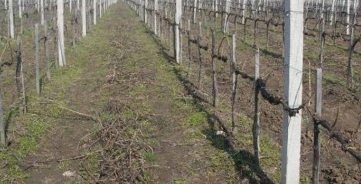 Predám použité betonové stlpiky