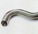 Hadice pre vzduchotechniku typ Rigoform Flex