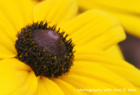 Kvalitná fotografia