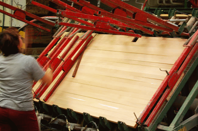 Bukové a Dubové lepené dosky - priebežné