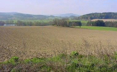 Rostliná výroba, řepka, obiloviny