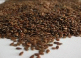 Fiber linseed (Linum Usitatissimum L.elongata)