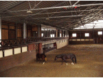 PROSPER HORSE RANCH (Čeladná).