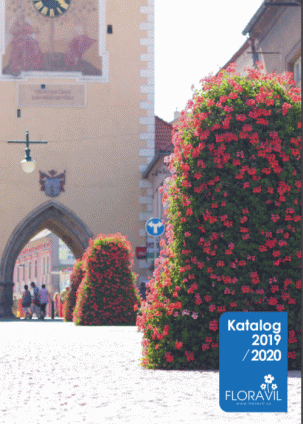 FLORAVIL 2019/2020